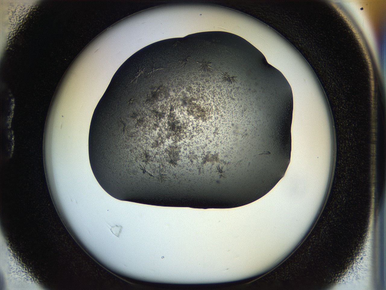 054m_B4_ImagerDefaults_6.jpg
