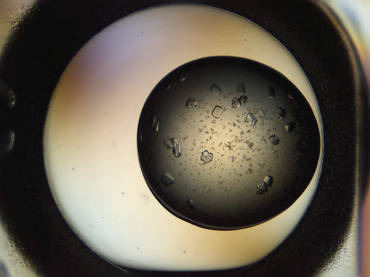 054m_C2_ImagerDefaults_9.jpg