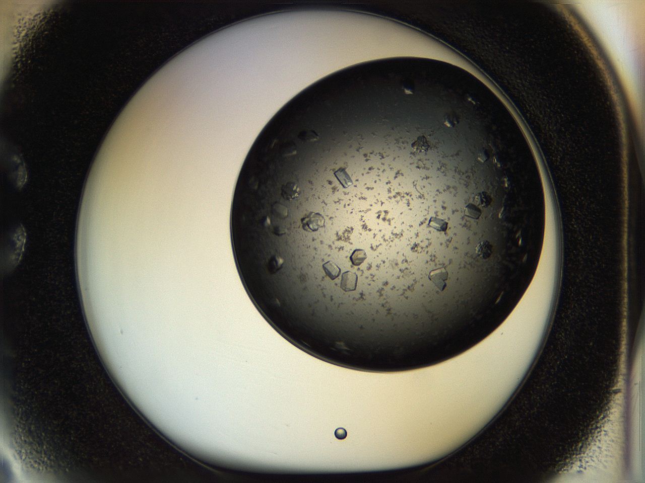 054m_C3_ImagerDefaults_9.jpg