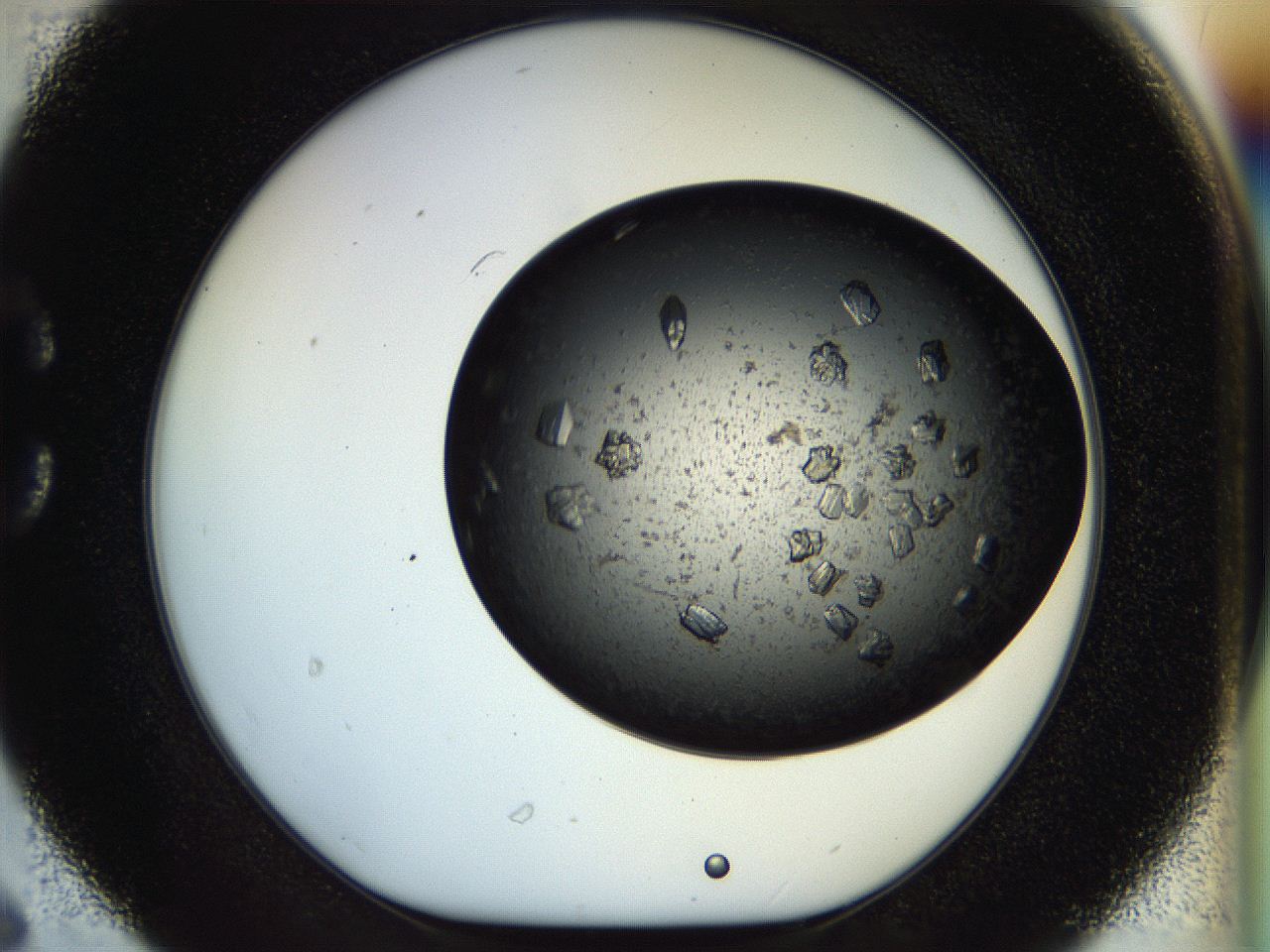 054m_C6_ImagerDefaults_8.jpg