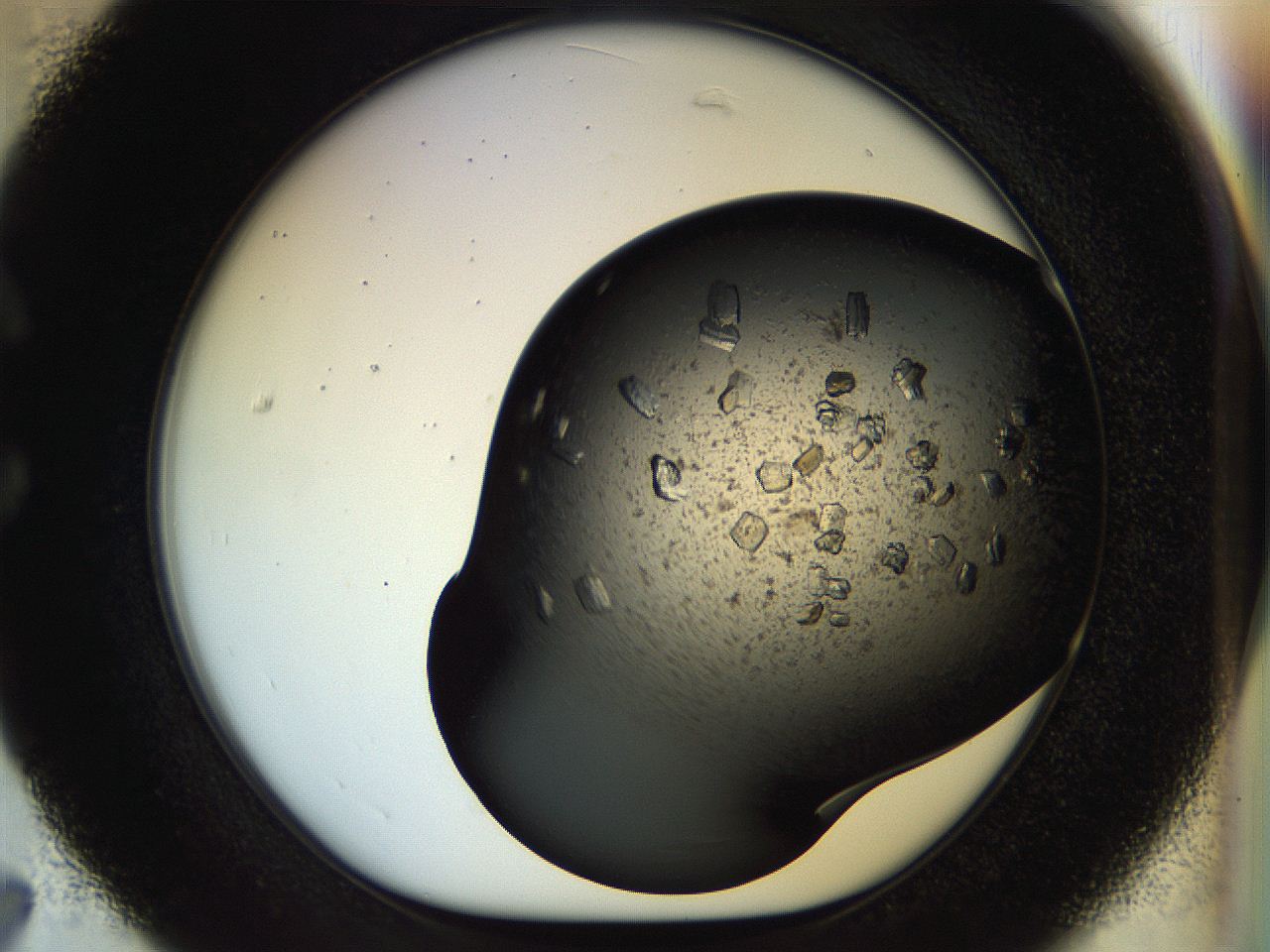 054m_C7_ImagerDefaults_8.jpg