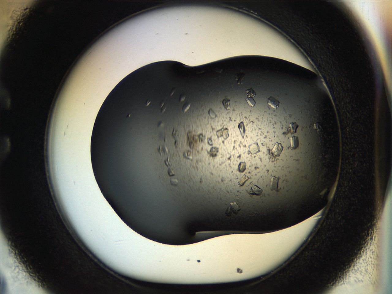 054m_C8_ImagerDefaults_8.jpg