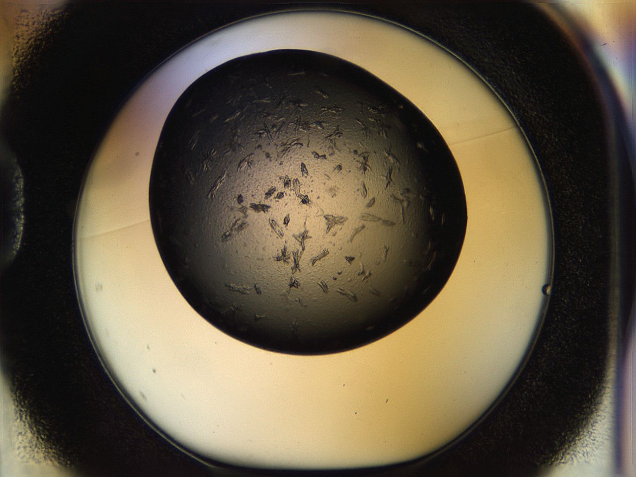 054m_D1_ImagerDefaults_6.jpg