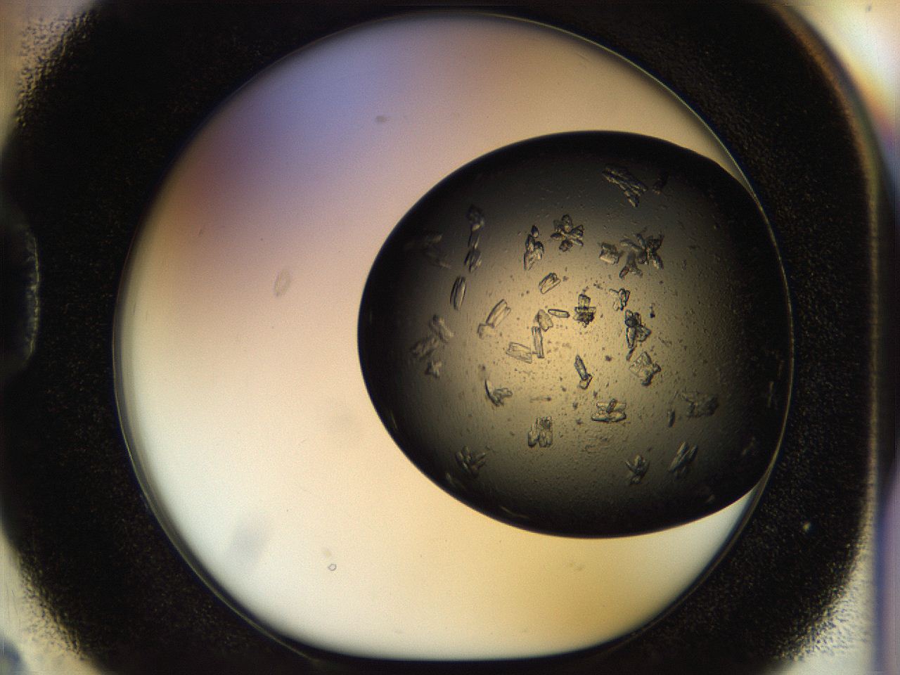 054m_D2_ImagerDefaults_7.jpg