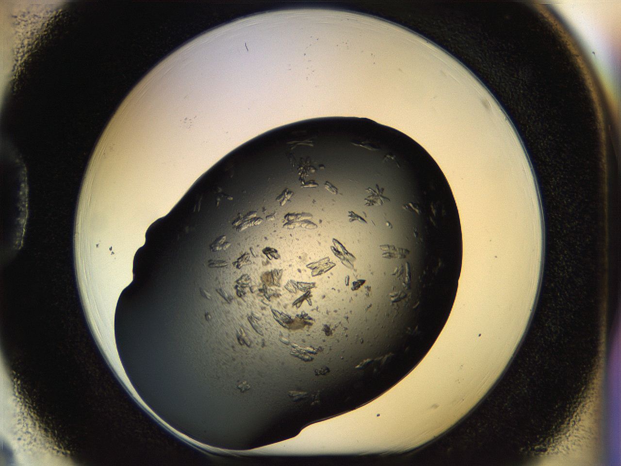 054m_D3_ImagerDefaults_7.jpg