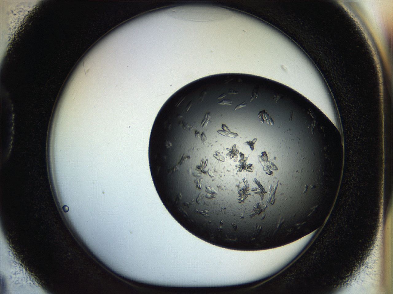 054m_D4_ImagerDefaults_7.jpg