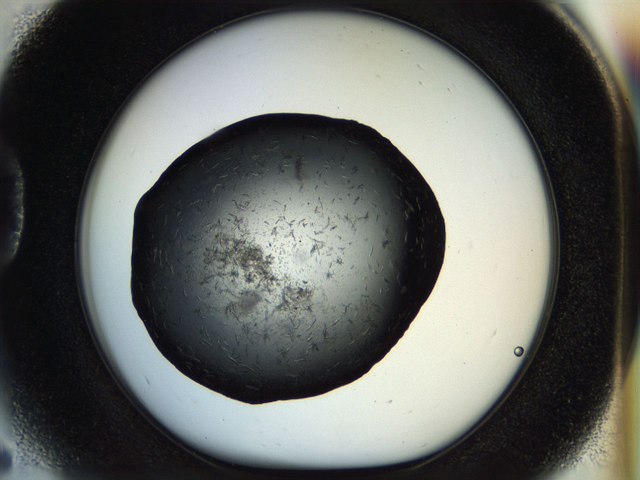 054m_D5_ImagerDefaults_6.jpg
