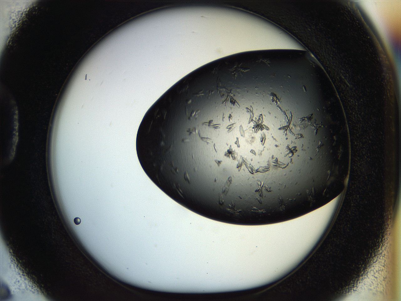 054m_D6_ImagerDefaults_7.jpg