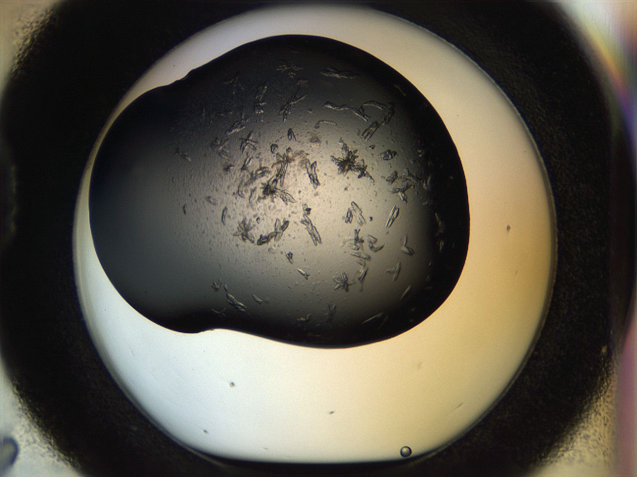 054m_D7_ImagerDefaults_7.jpg