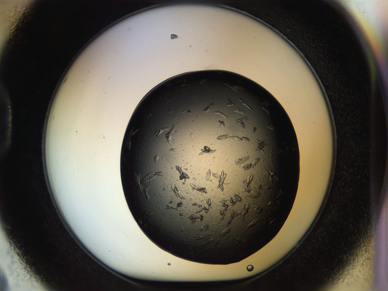 054m_D8_ImagerDefaults_7.jpg