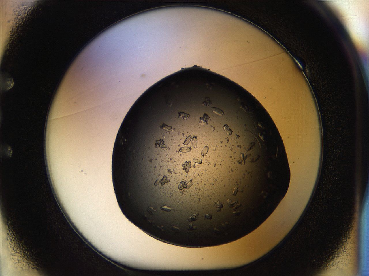 054m_E1_ImagerDefaults_8.jpg