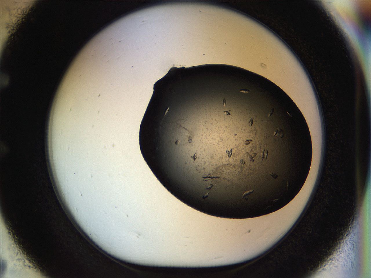 054m_E7_ImagerDefaults_8.jpg