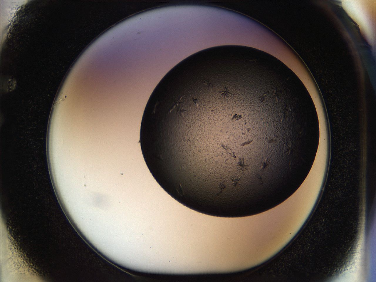 054m_F1_ImagerDefaults_6.jpg