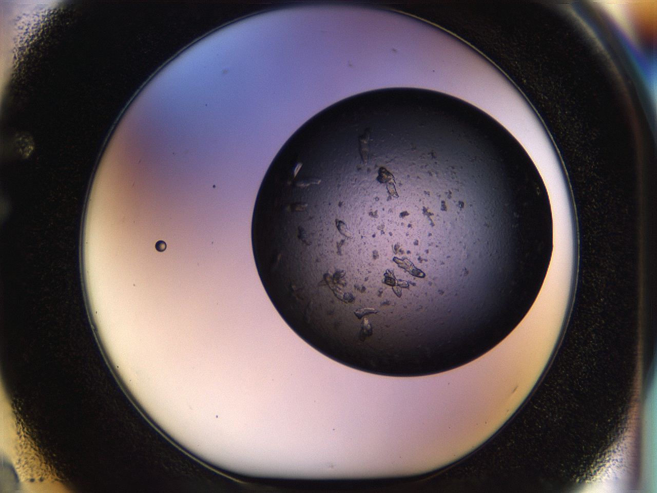 054m_F2_ImagerDefaults_7.jpg