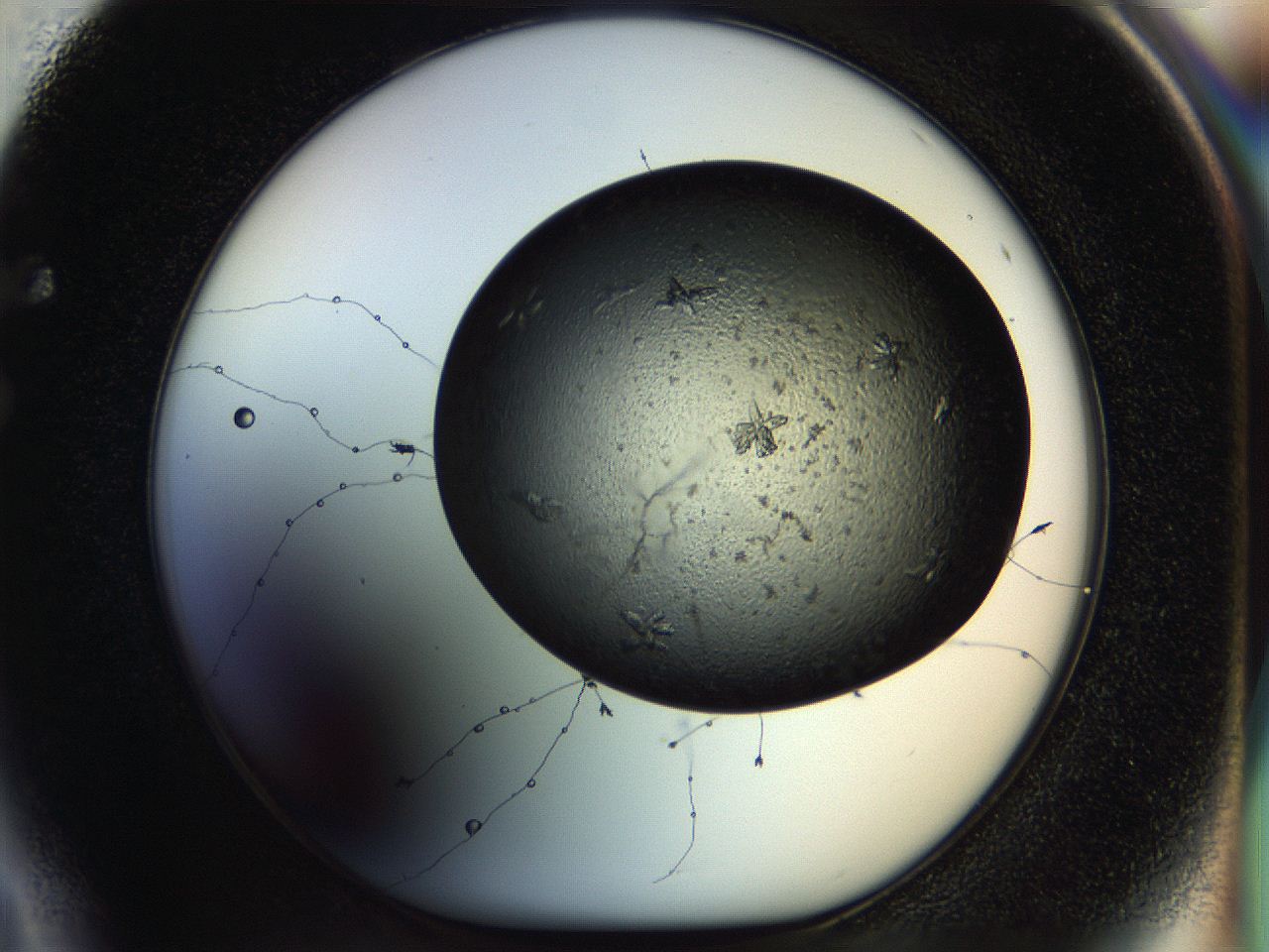 054m_F4_ImagerDefaults_7.jpg