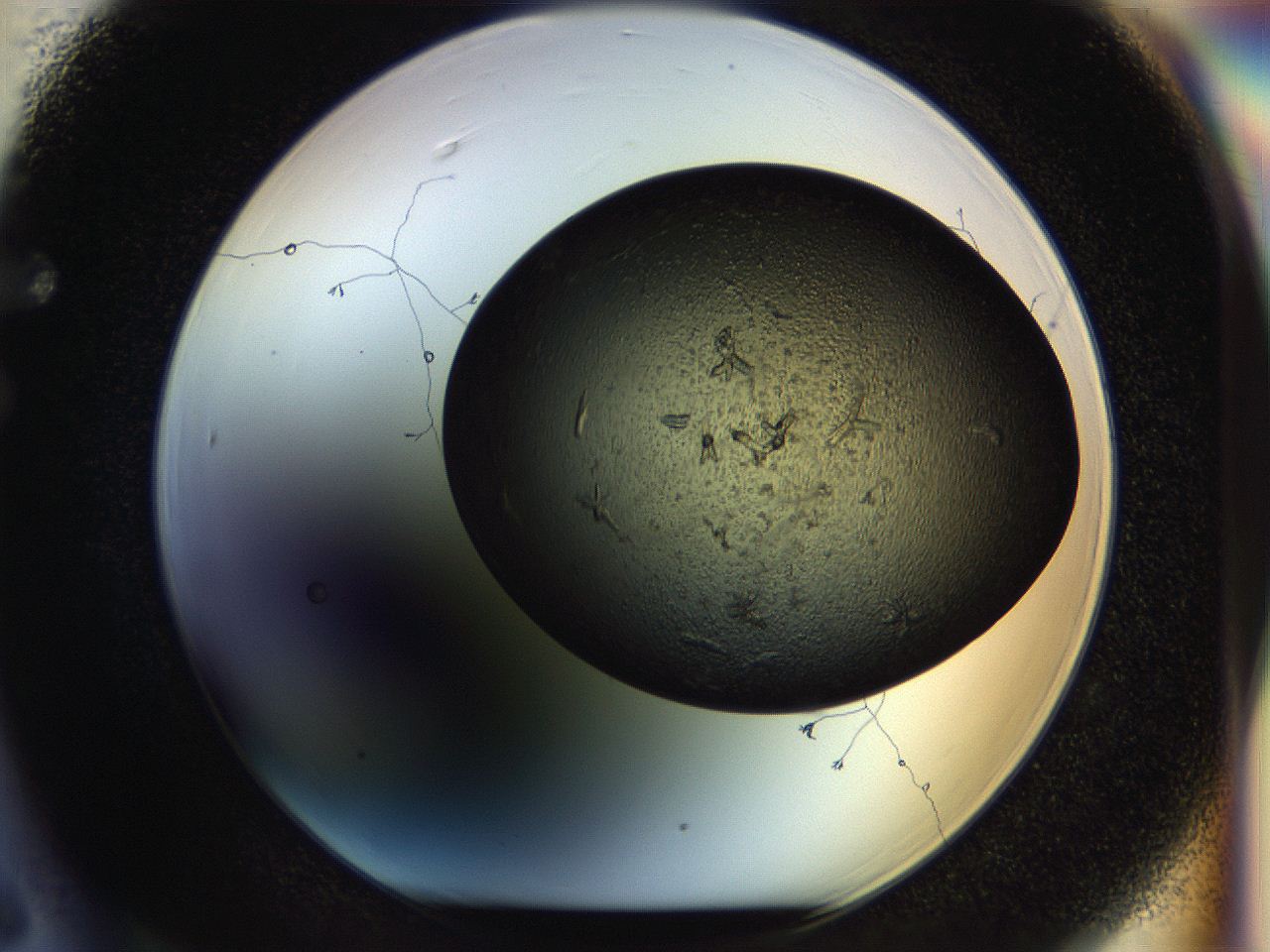 054m_F6_ImagerDefaults_6.jpg