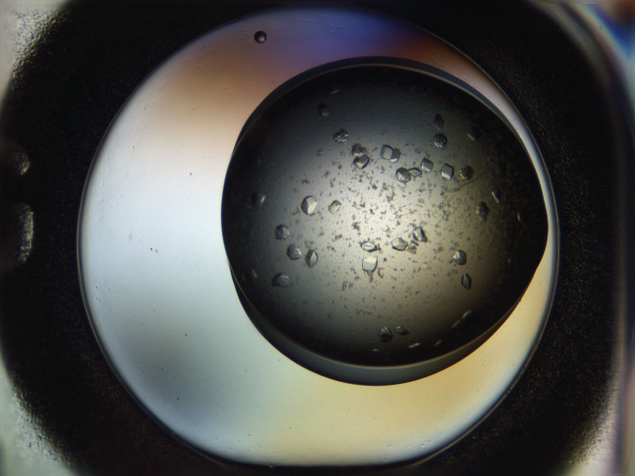 054m_G1_ImagerDefaults_9.jpg
