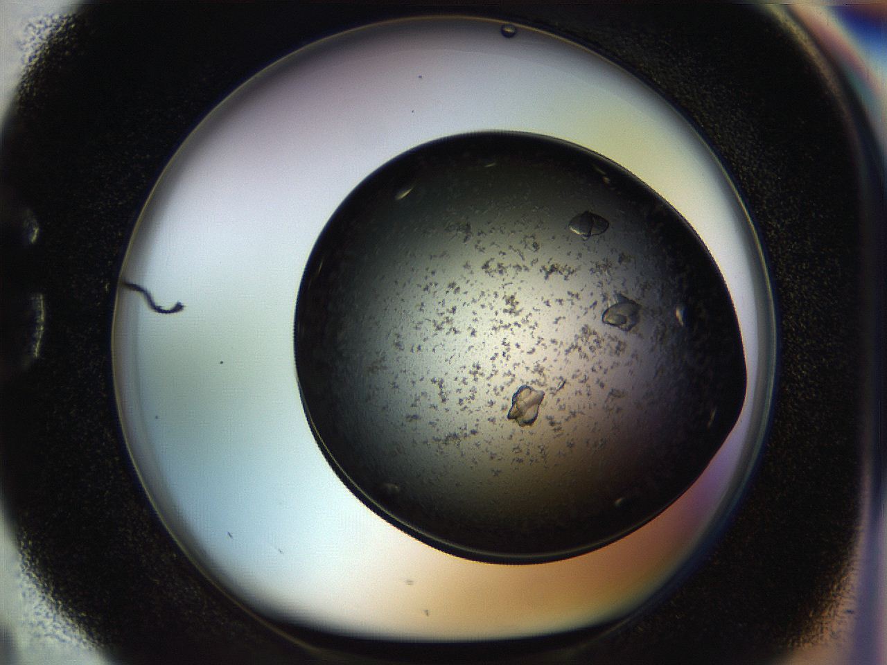 054m_G4_ImagerDefaults_8.jpg