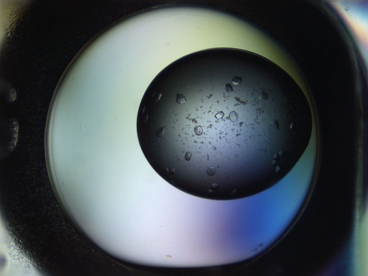 054m_G5_ImagerDefaults_8.jpg