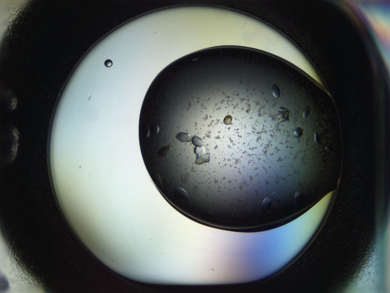 054m_G6_ImagerDefaults_8.jpg