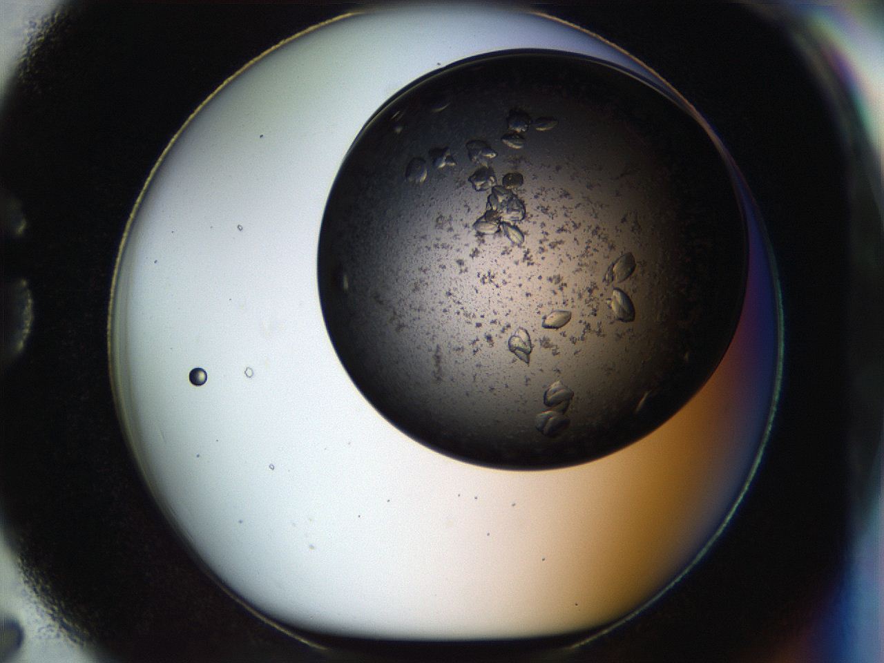 054m_G7_ImagerDefaults_8.jpg