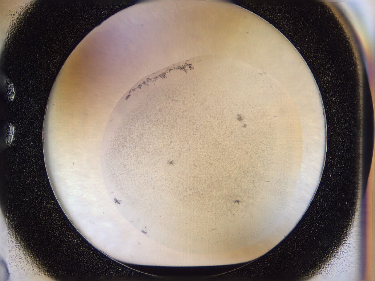 054n_C2_ImagerDefaults_8.jpg