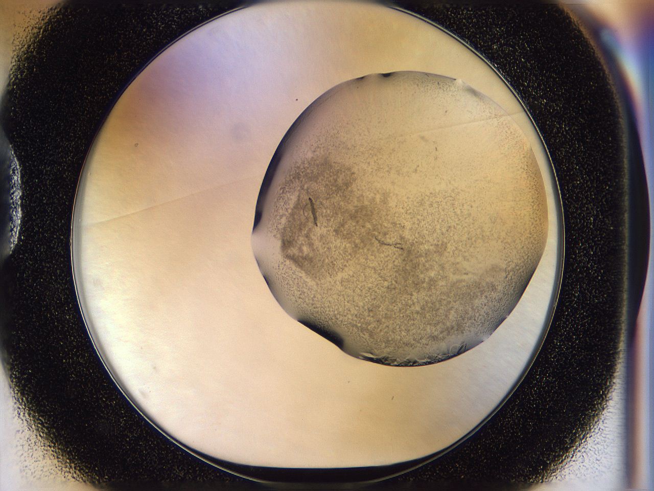 054n_D1_ImagerDefaults_8.jpg