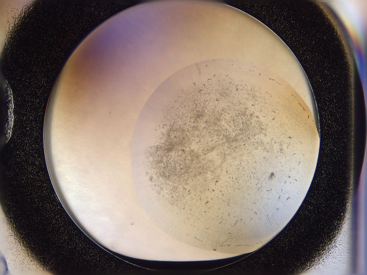 054n_D2_ImagerDefaults_7.jpg