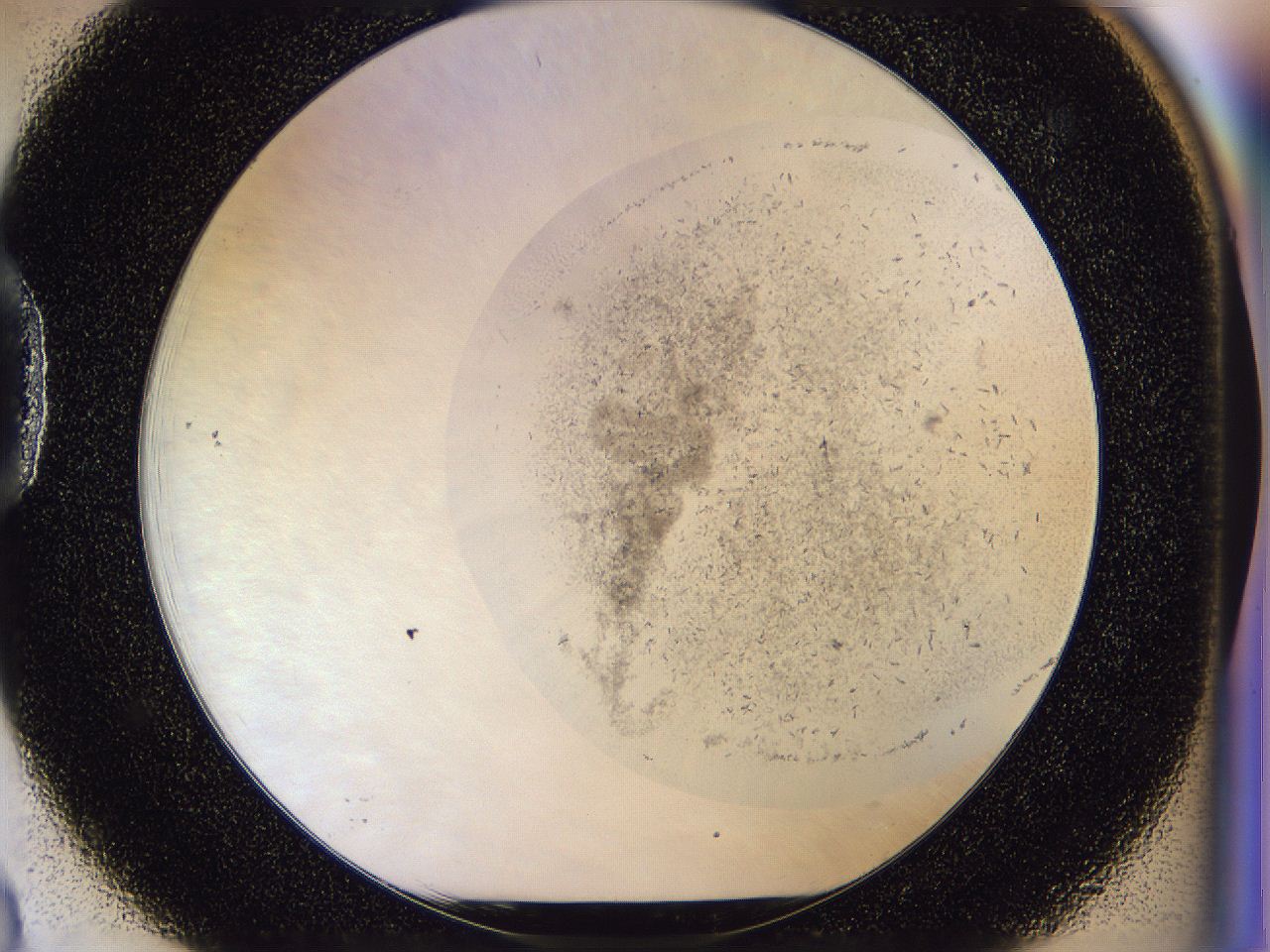 054n_D3_ImagerDefaults_7.jpg