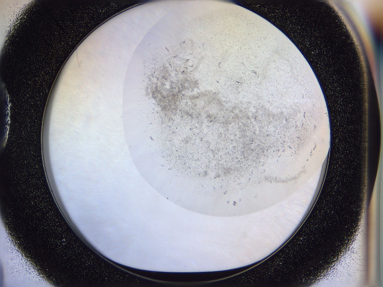 054n_D4_ImagerDefaults_7.jpg