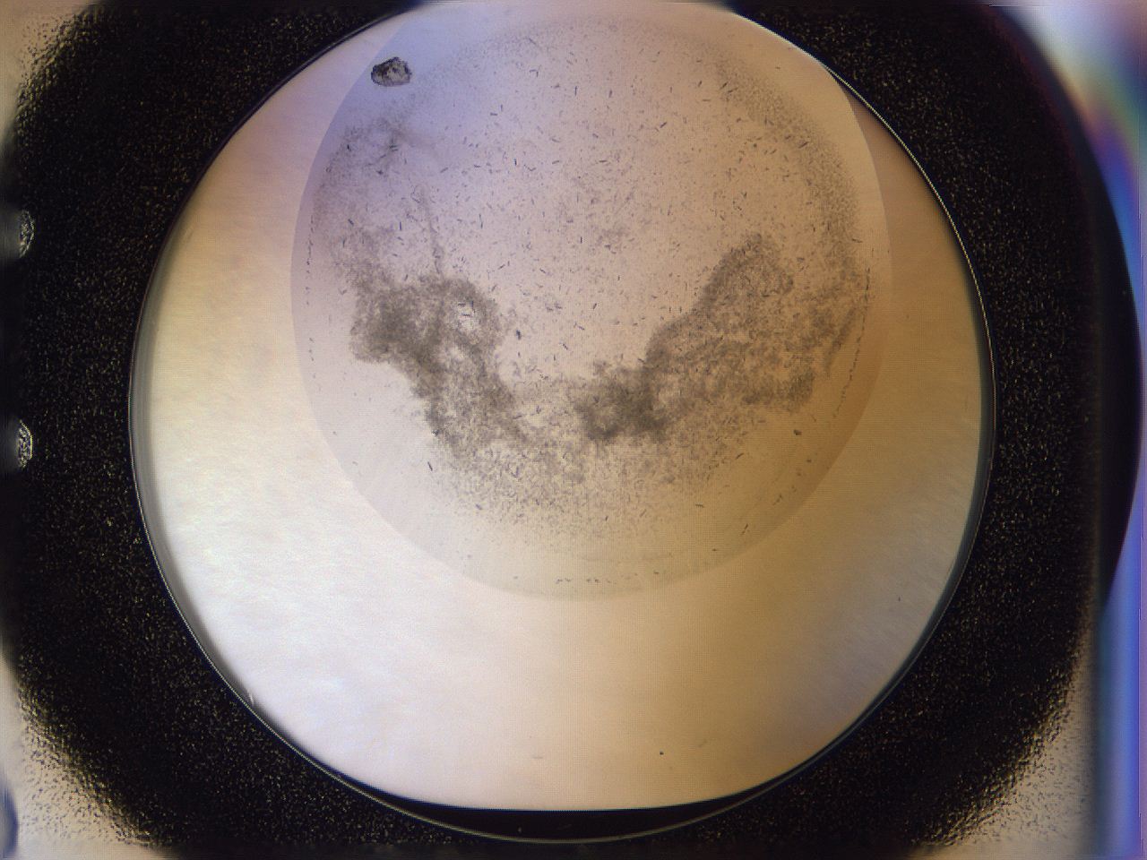 054n_E3_ImagerDefaults_6.jpg
