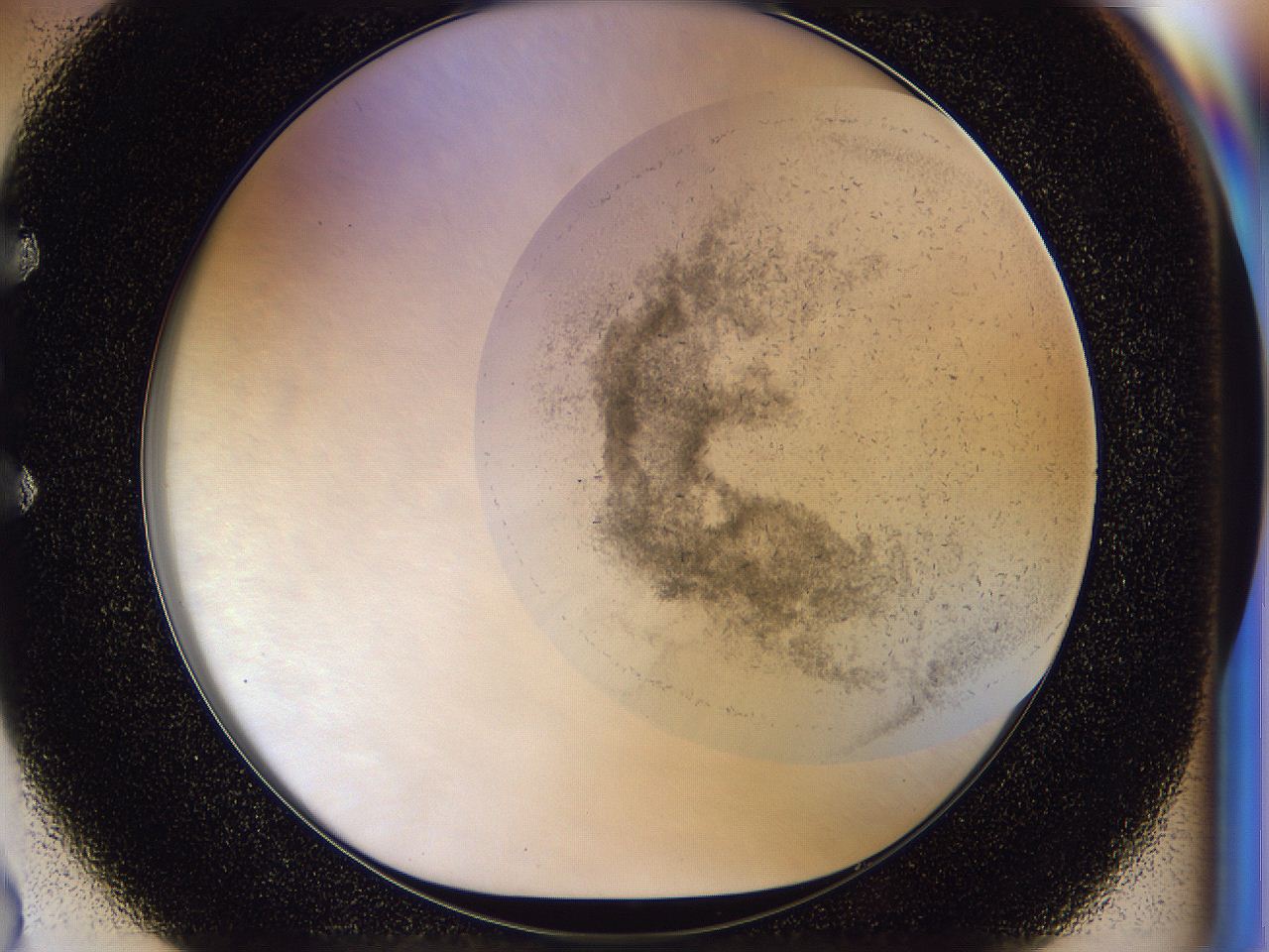 054n_E2_ImagerDefaults_6.jpg