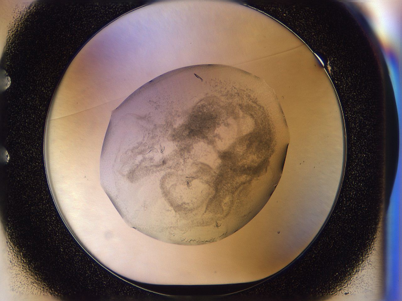 054n_E1_ImagerDefaults_8.jpg