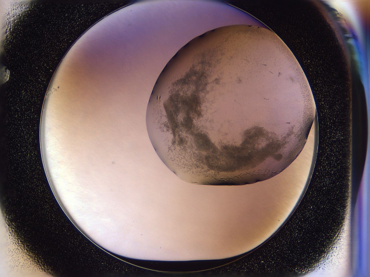 054n_F1_ImagerDefaults_6.jpg