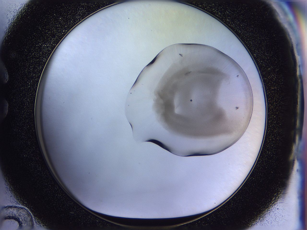 054o_C12_ImagerDefaults_6.jpg