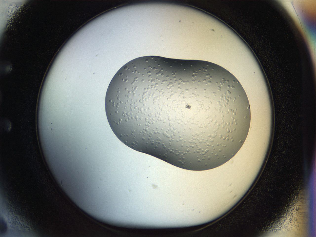 054p_E6_ImagerDefaults_8.jpg