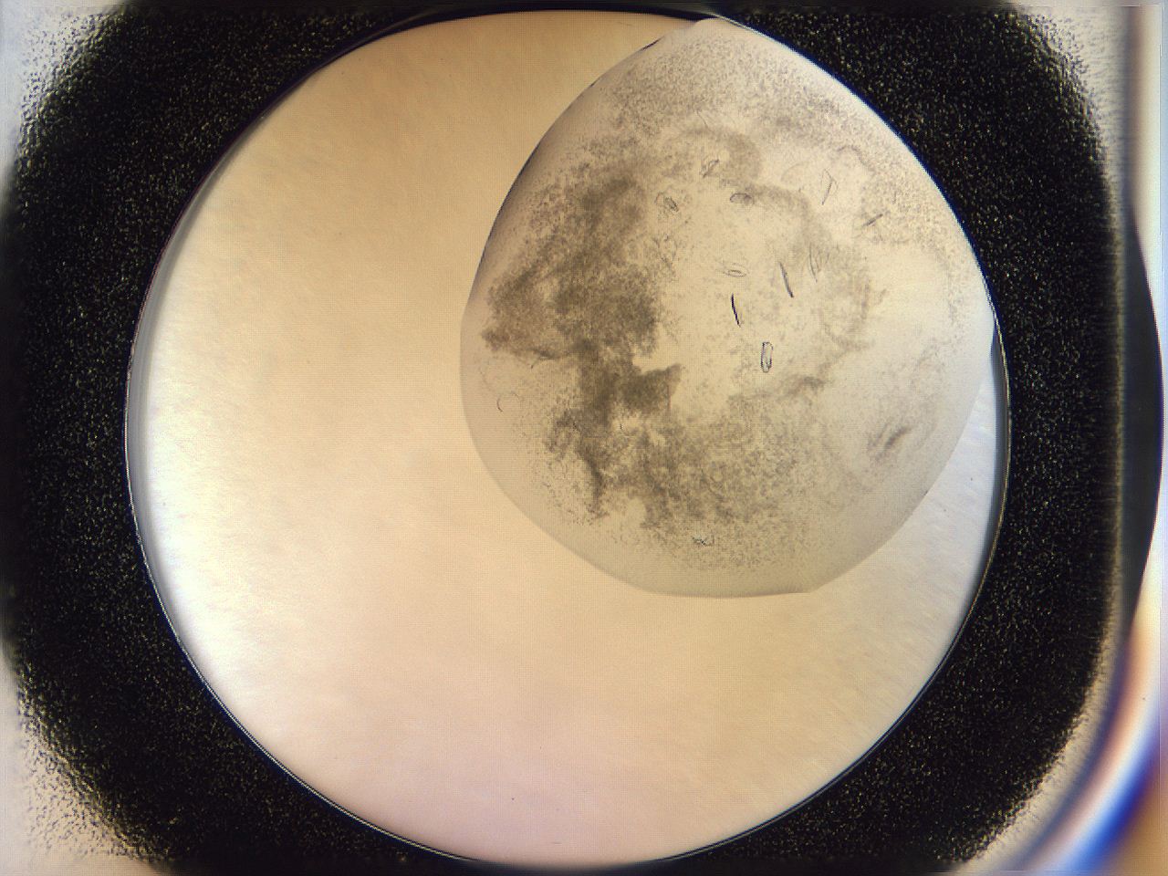 054s_D1_ImagerDefaults_7.jpg