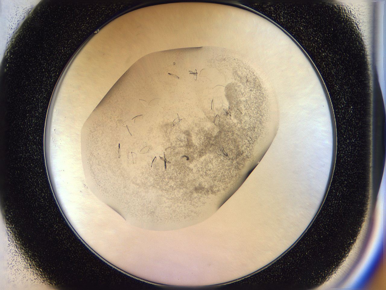 054s_C1_ImagerDefaults_8.jpg