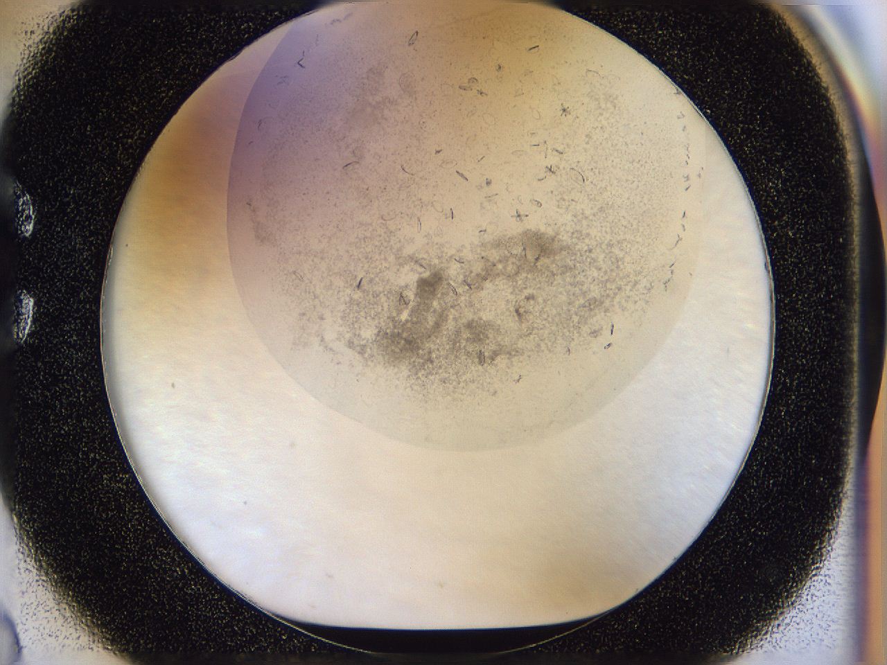 054s_C2_ImagerDefaults_7.jpg