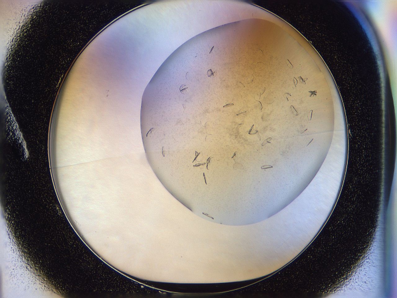 054s_A1_ImagerDefaults_9.jpg