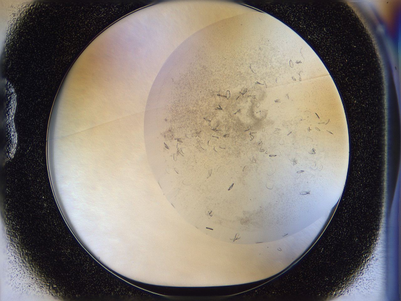 054s_B1_ImagerDefaults_8.jpg