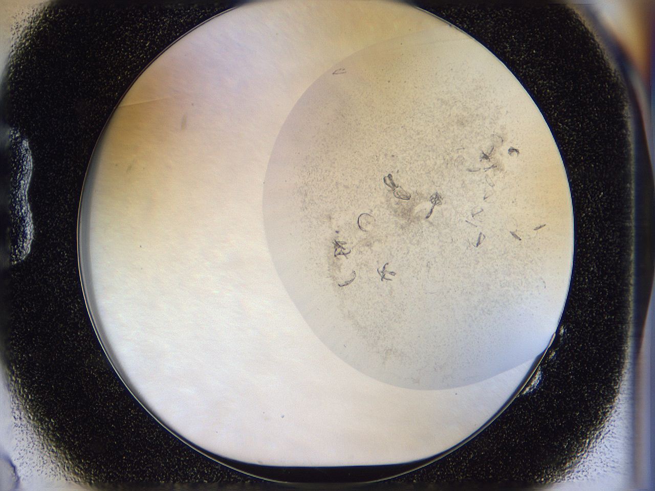 054s_B2_ImagerDefaults_8.jpg