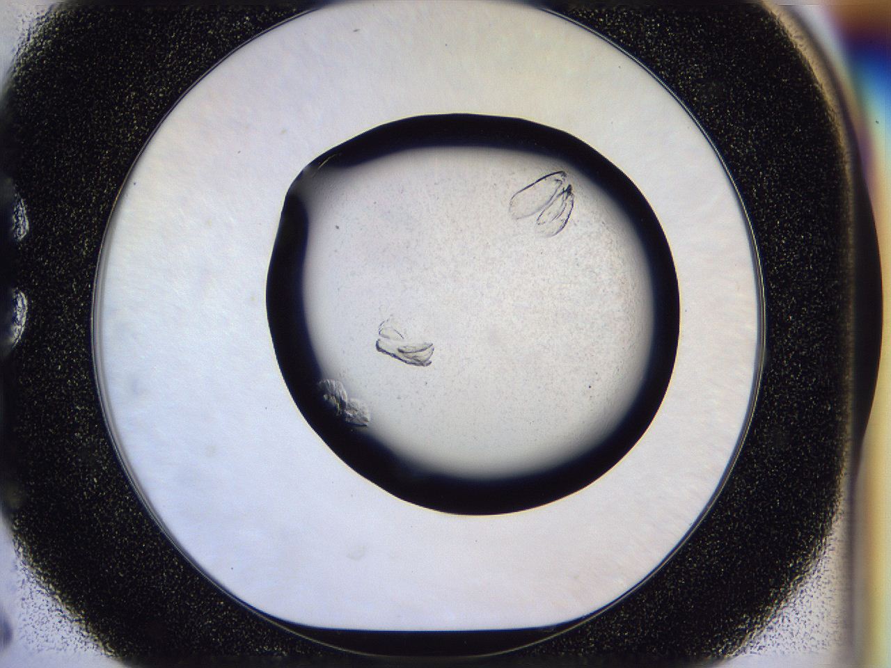 054t_C6_ImagerDefaults_8.jpg