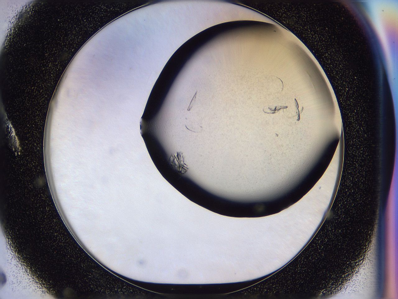 054t_A5_ImagerDefaults_8.jpg