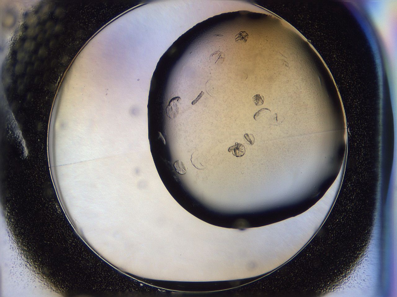 054t_A1_ImagerDefaults_8.jpg