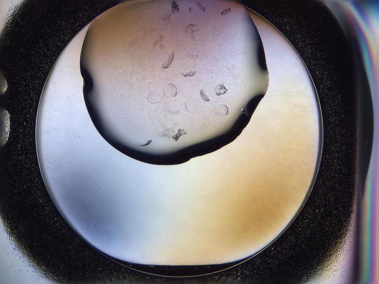 054t_G1_ImagerDefaults_8.jpg