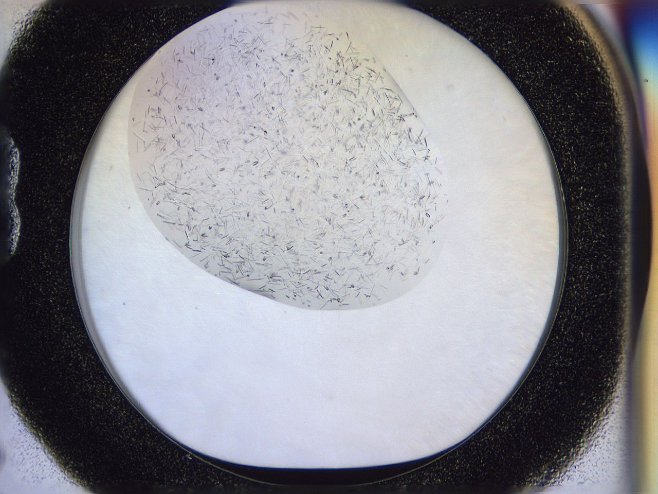 054v_B5_ImagerDefaults_6.jpg