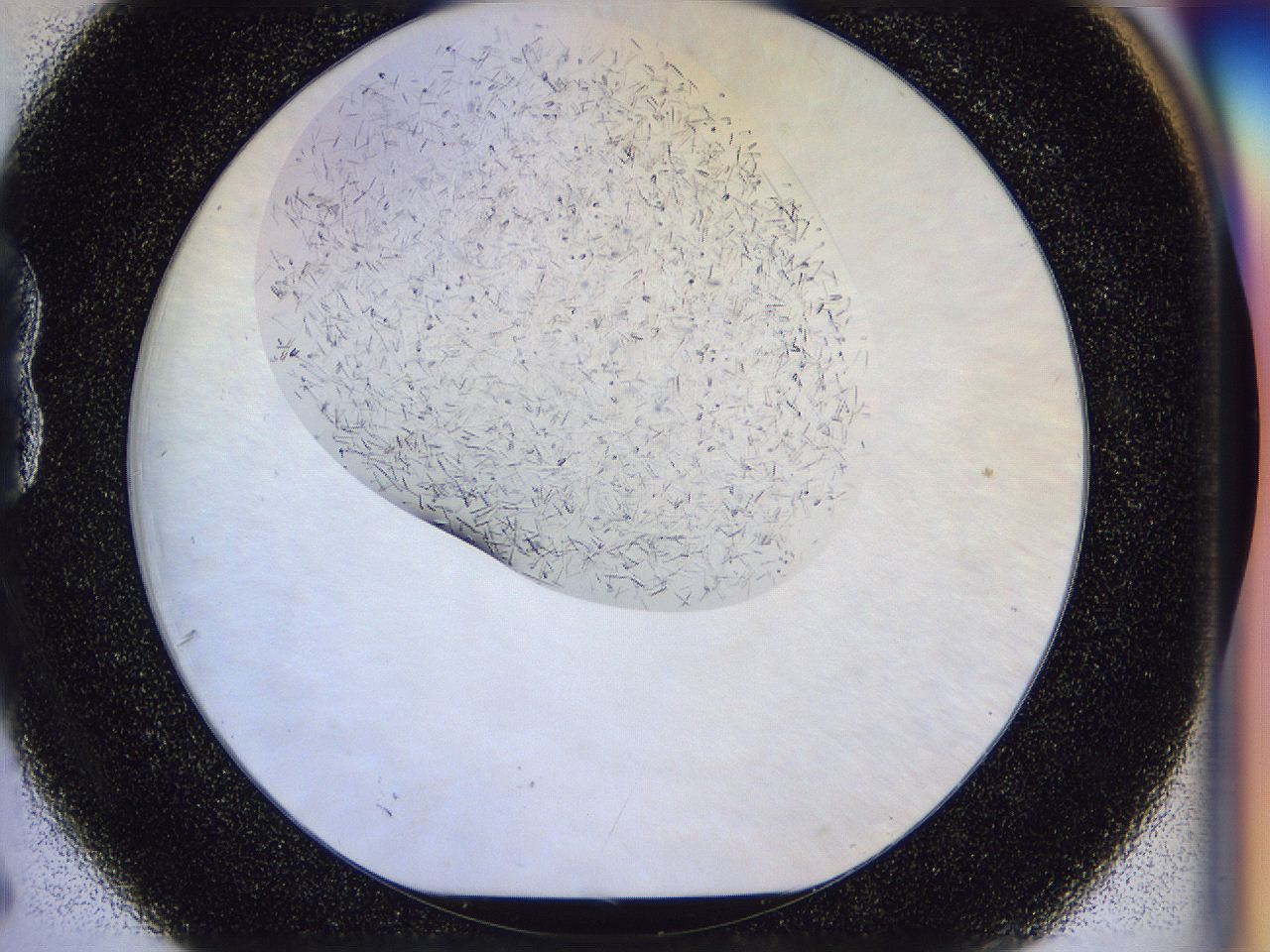 054v_B6_ImagerDefaults_6.jpg