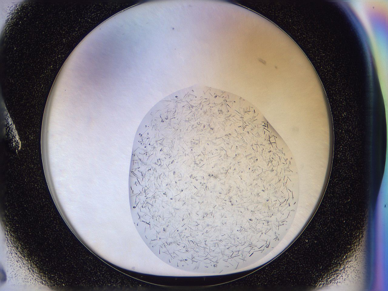 054v_A6_ImagerDefaults_7.jpg