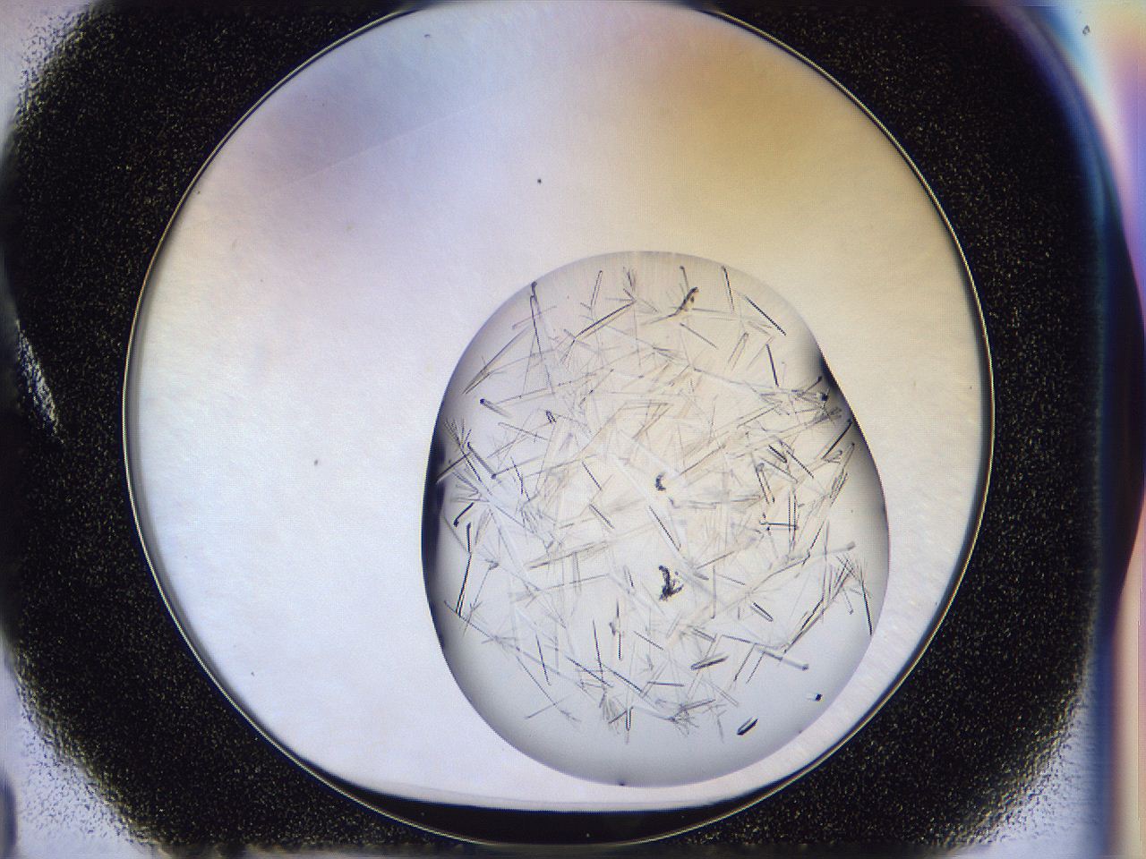 054v_A4_ImagerDefaults_9.jpg